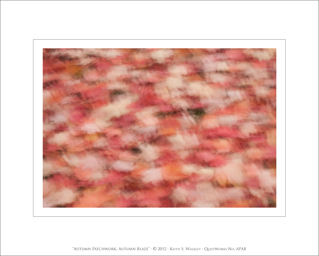Autumn Patchwork, Autumn Blaze, 2012